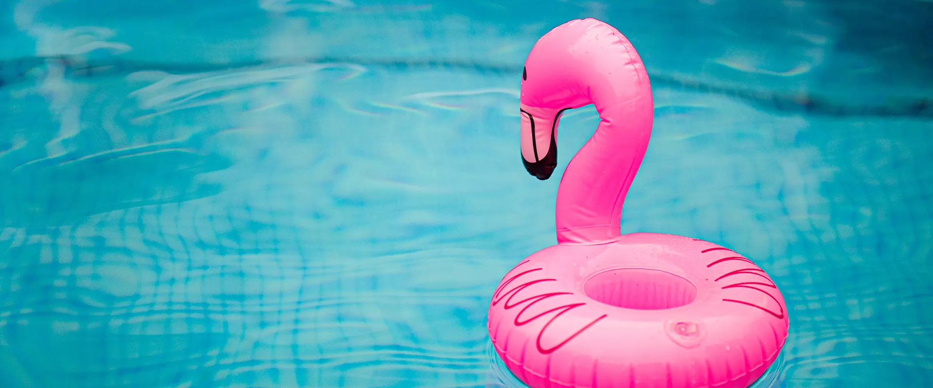 Image d'un tube en représentant un flamant rose